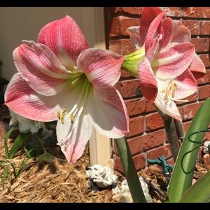 Meet your Posher, Gale